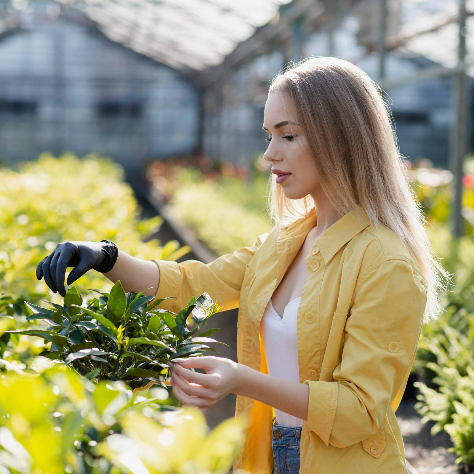 Smart Irrigation in Dubai